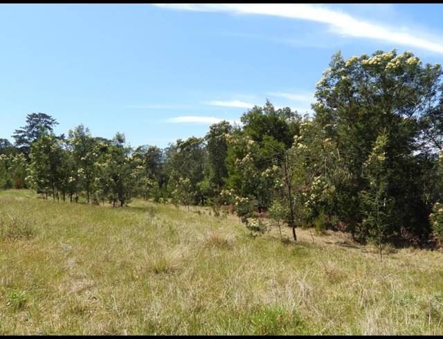 LAND FOR SALE IN HOEKWIL